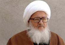 توصیه‌های آیت‌الله وحید خراسانی به نمایندگان در دیدار با رئیس مجلس