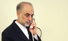 صالحی و البرادعی چه گفتند؟