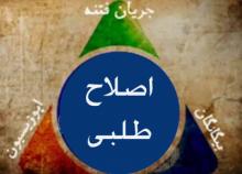 حمله گستاخانه اصلاح‌طلبان به نظام، مجلس خبرگان و شورای نگهبان