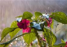 ورود سامانه بارشی از چهارشنبه به کشور ورود سامانه بارشی از چهارشنبه به کشور