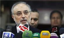 صالحی: سیاست گفت‌وگو همراه با فشار و تهدید بی نتیجه است