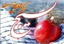 بسیج؛ یادگار ماندگار امام