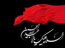 فلسفه، آثار و برکات عزاداری برای اباعبدالله الحسین(ع)