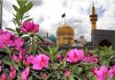 حرم مطهر رضوی گلباران شد