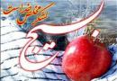 بسیج؛ یادگار ماندگار امام