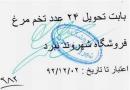 تخم‌مرغ سبدکالا دچار کمبود شد